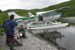 Bear Viewing Kodiak Island Alaska